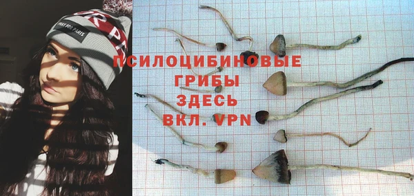крисы Арсеньев