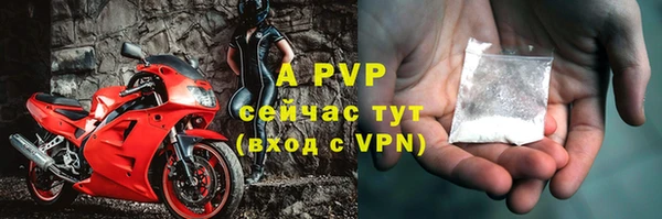 твердый Аркадак