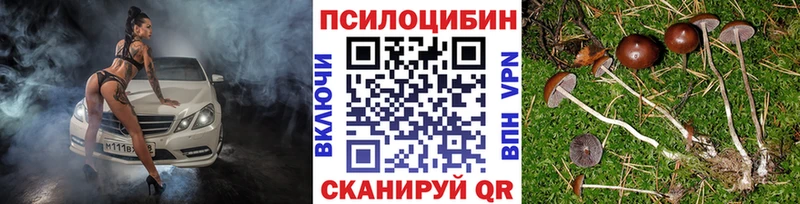 Галлюциногенные грибы ЛСД  маркетплейс наркотические препараты  Сальск 